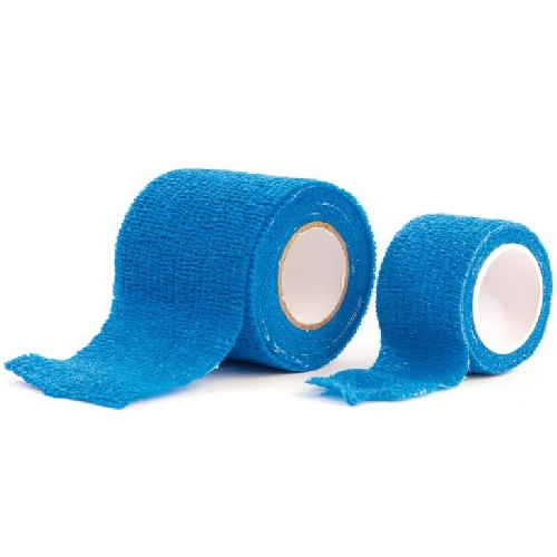 PAŠLĪPOŠS PĀRSĒJS