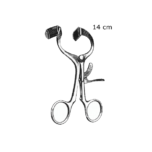 MUTES ATPLĒTĒJS MOLT TIPA