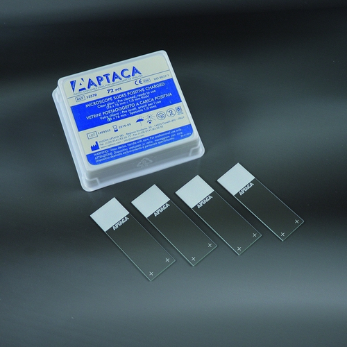 POZITĪVI LADĒTI PRIEKŠMETSTIKLI