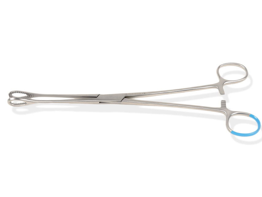 Foerster polipu spaile-sterila - 25 cm N10