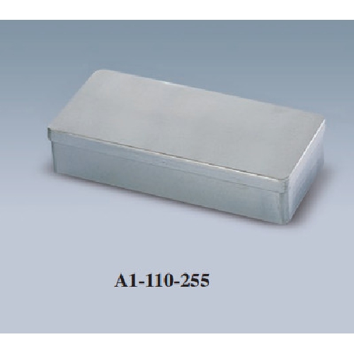 Instrumentu kaste sterilizācijas un uzglabāšanai 250x100x70 h mm