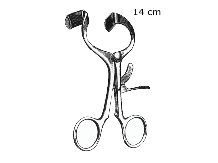 Mutes atplētējs Molt tipa, 14cm, 1gab