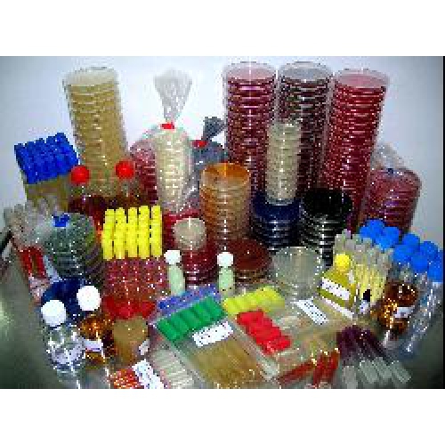 columbia + 5% bs/mannitol salt agar