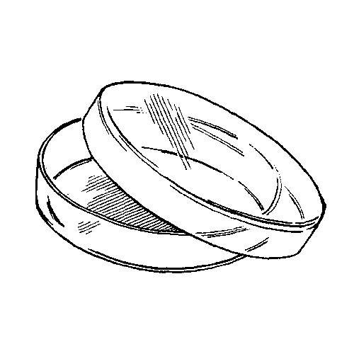 Petri bļodiņas 150x25 mm stikls, ar vāciņu N1 (min.18 vai 72gab.)