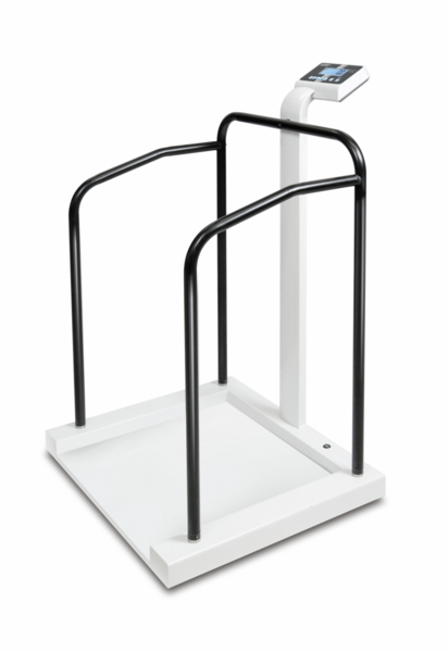 Standing aid scale