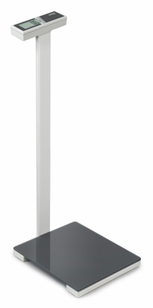 Personal floor scale