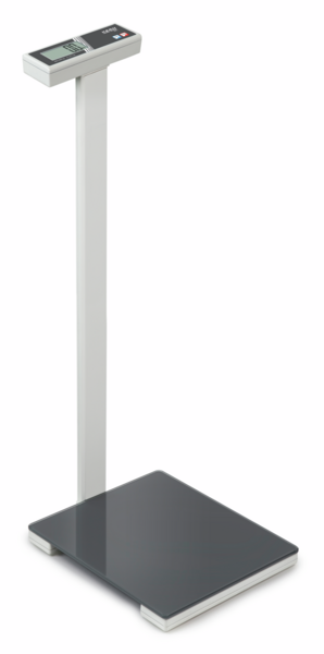 Personal floor scale